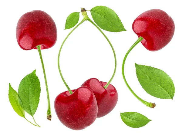 Cherry terisolasi pada latar belakang putih. Koleksi ceri — Stok Foto