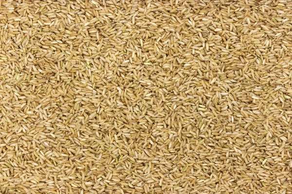 Brown rice groats background, untreated rice texture — Stock Photo, Image