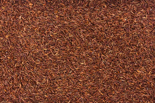 Red rice background — Stock Photo, Image