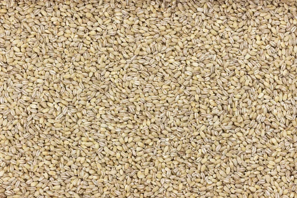 Pearl barley groats background