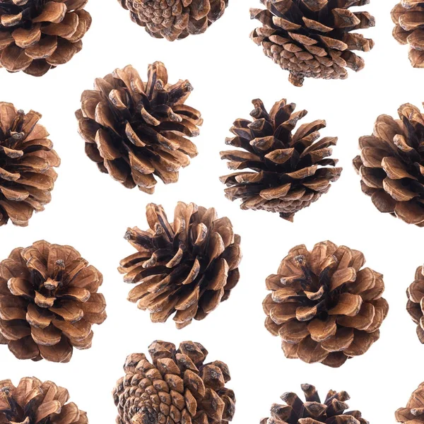 Cones de pinheiro sem costura padrão, cones de abeto isolado no fundo branco closeup — Fotografia de Stock