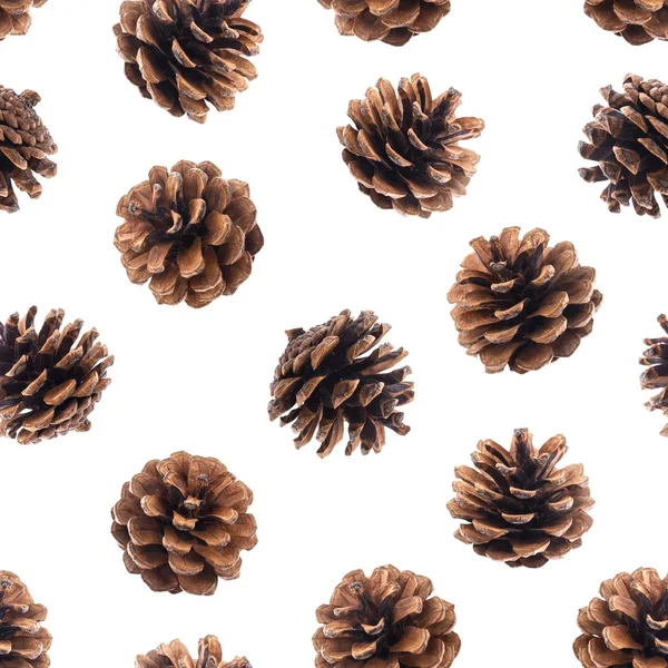 Cones de pinheiro sem costura padrão — Fotografia de Stock