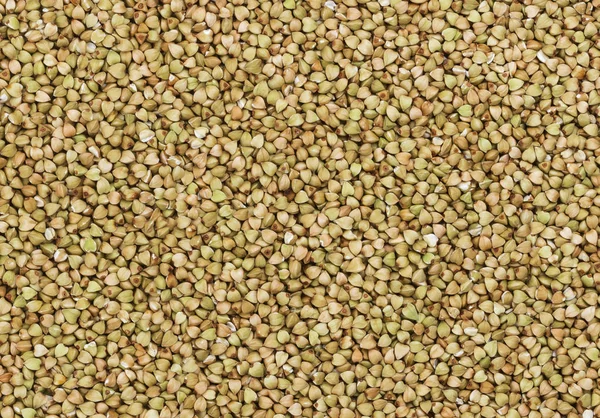 Green buckwheat texture — Stock Photo, Image