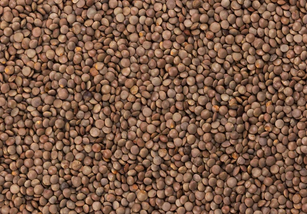 Brown lentils texture — Stock Photo, Image