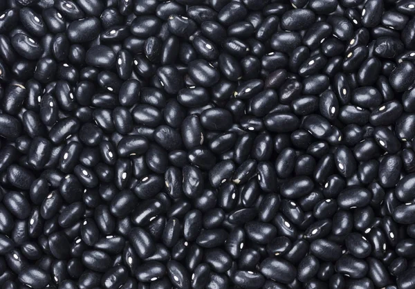 Black kidney beans texture