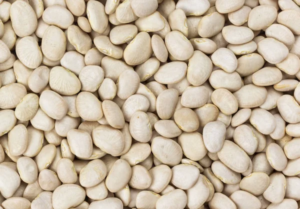 White kidney beans texture — Stock Photo, Image