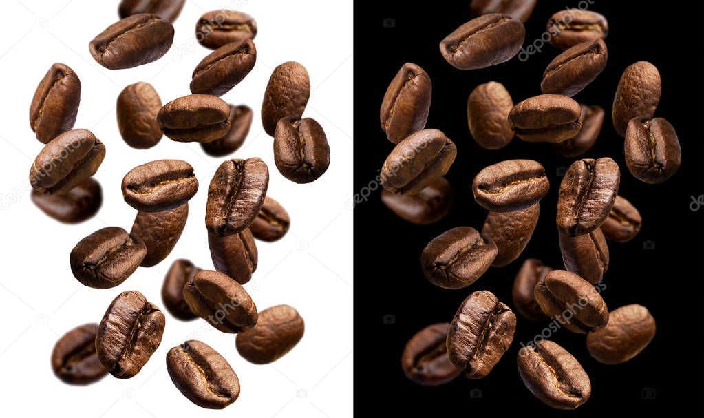 Falling coffee beans isolated on white and black background