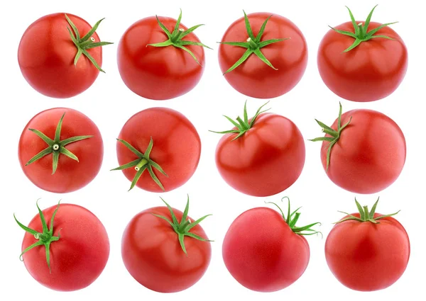 Tomaten isoliert. ganze Tomaten auf weißem Hintergrund. Sammlung — Stockfoto