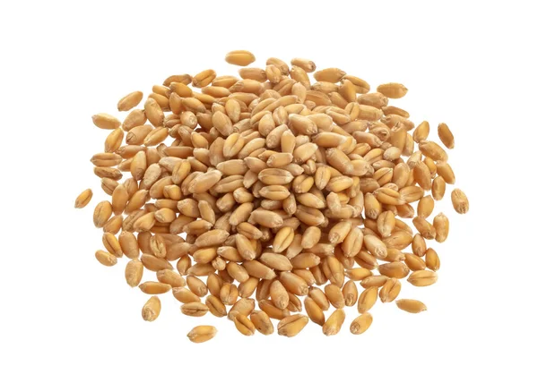 Купа насіння пшениці ізольовано на білому тлі — стокове фото