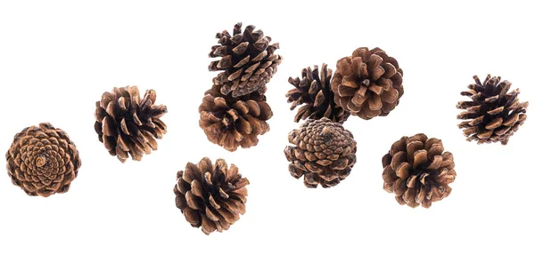 Kırpma yolu ile beyaz arka plan üzerinde izole düşen pinecones — Stok fotoğraf