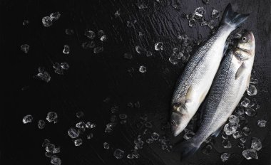 Siyah taş zemin üzerinde buzda deniz kabuğu balığı, üst görünüm