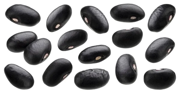 Колекція чорних бобів ізольована на білому тлі — стокове фото