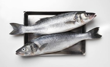 Seabass fish on metal tray isolated on white background