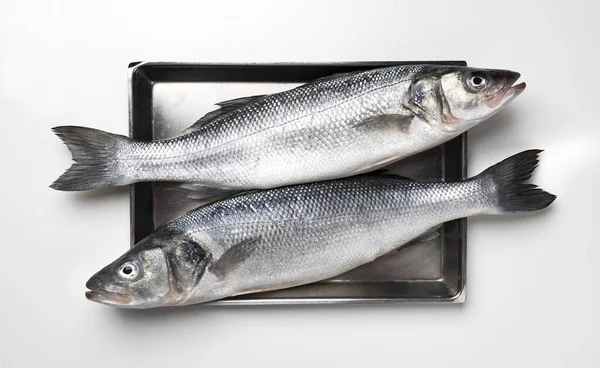 Seabass fish on metal tray isolated on white background — Stock fotografie