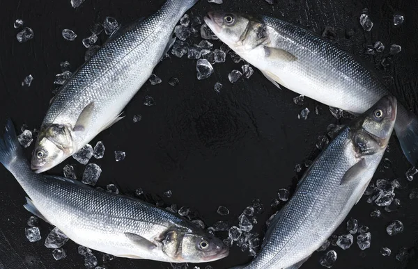 Frame made of raw seabass fish on black background, top view — Stock Fotó