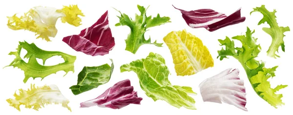 Мікс листя з руколами, салатом, радиккіо, романо і зеленим ченцем ізольовані на білому тлі — стокове фото