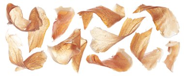 Dilimlenmiş jambon, beyaz arka planda izole edilmiş İspanyol jambonu.