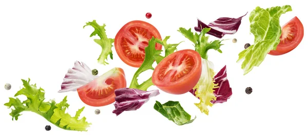 Fallande sallad av blad med rucola, sallad, radicchio, romano green frize och tomater — Stockfoto