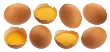 Kırık tavuk yumurtaları beyaz arka planda izole edilmiş.