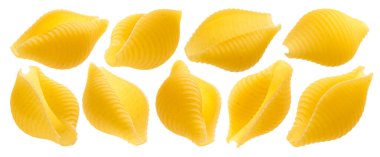 Conchiglie rigate. Beyaz arkaplanda çiğ kabuklu makarna