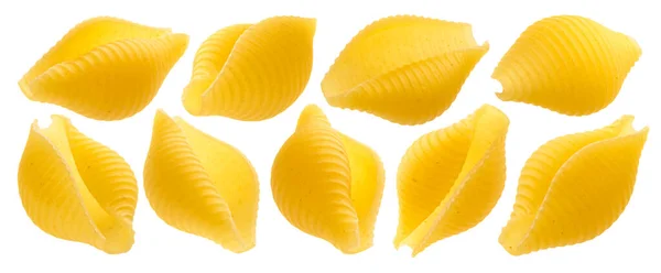 Conchiglie stijf. Rauwe shell pasta geïsoleerd op witte achtergrond — Stockfoto