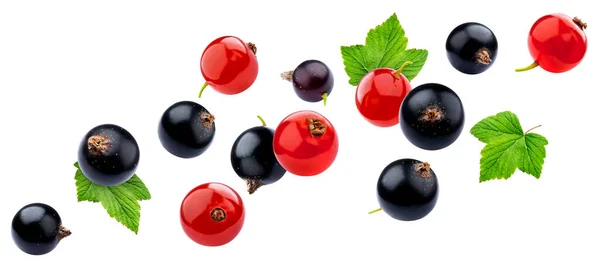 Röda Och Svarta Vinbär Isolerade Vit Bakgrund Med Klippning Väg — Stockfoto