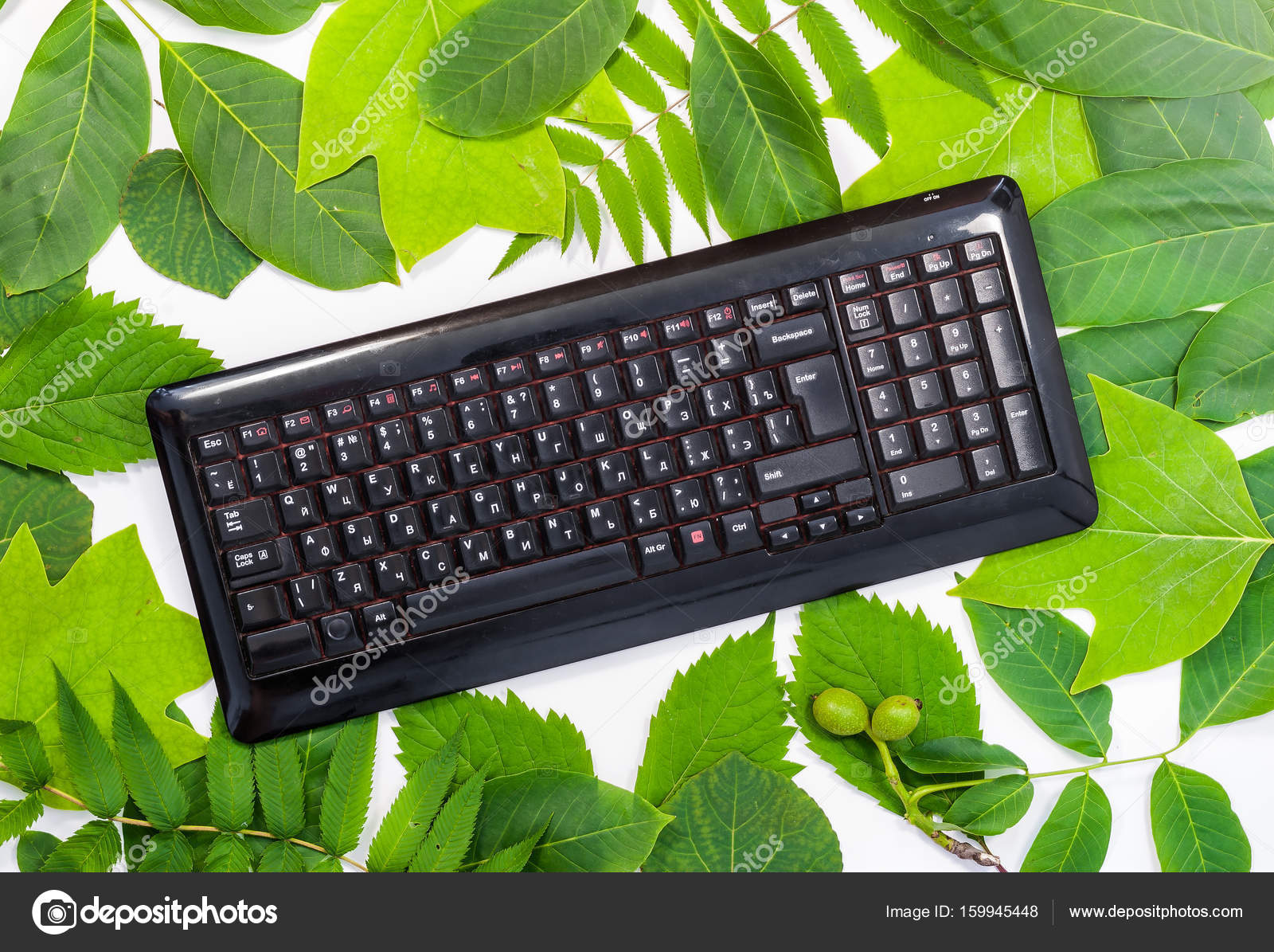 Frame From Green Leaves With Computer Keyboard Stock Photo Frame From Green Leaves With Computer Keyboard Stock Photo