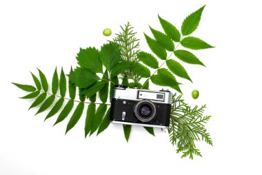 Vintage film kamerası arka plan yeşil yaprakların üzerinde