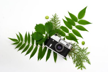 Vintage film kamerası arka plan yeşil yaprakların üzerinde