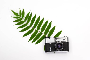 Vintage film kamerası arka plan yeşil yaprakların üzerinde