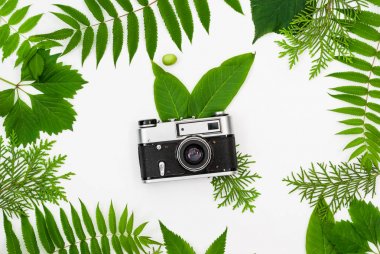 Vintage film kamera çerçeve yeşil yaprakları ile içinde
