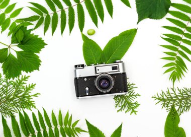 Vintage film kamera çerçeve yeşil yaprakları ile içinde