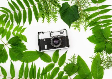 Vintage film kamera çerçeve yeşil yaprakları ile içinde