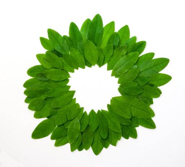 Küçük yaprakları ile yeşil yuvarlak çerçeve