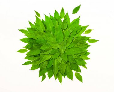 Yeşil yaprakları yuvarlak çerçeve