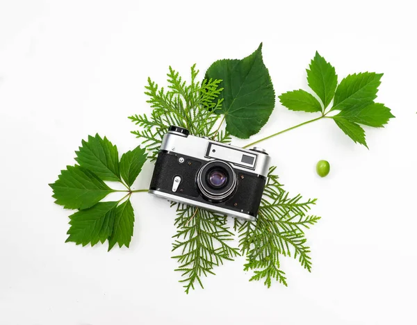 Cámara de película vintage sobre un fondo de hojas verdes — Foto de Stock