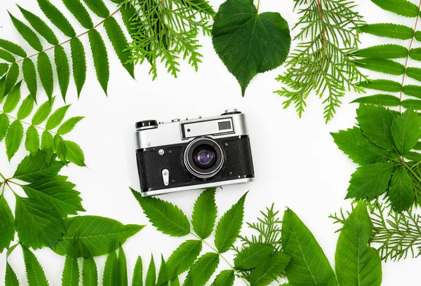 Vintage film kamera çerçeve yeşil yaprakları ile içinde