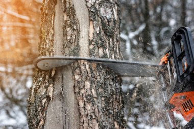 El ile elektrikli testere. Adam ellerini, testere ağacı kışın ormanda bir bir