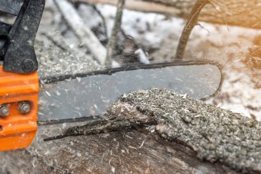 El ile elektrikli testere. Adam ellerini, testere ağacı kışın ormanda bir bir