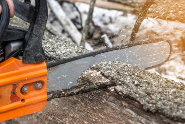 El ile elektrikli testere. Adam ellerini, testere ağacı kışın ormanda bir bir