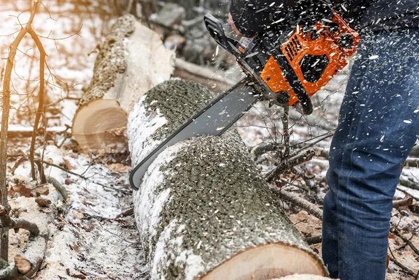 Motosserra manual. Mãos de homem, serra uma árvore na floresta no inverno um — Fotografia de Stock