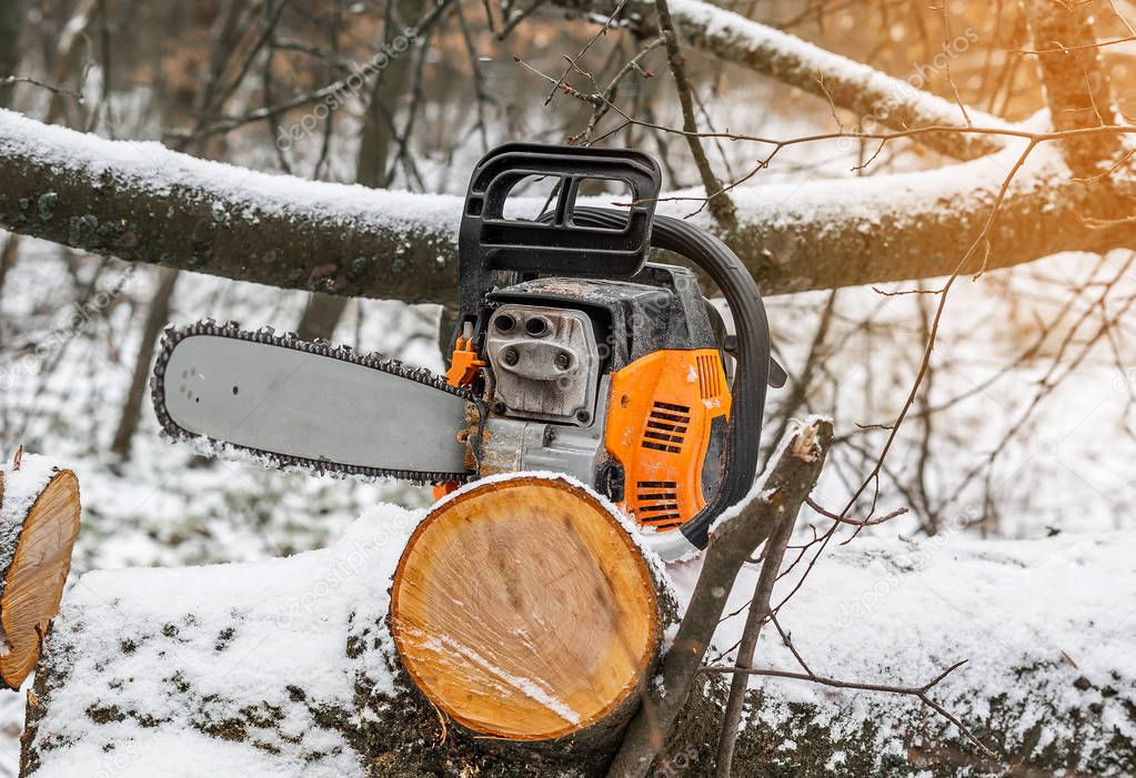 Orange manual chainsaw on a cut tree
