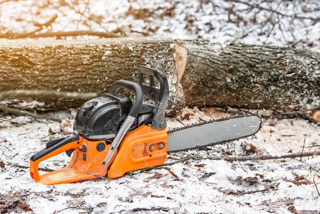 Manual chainsaw. Man hands, saws a tree in the woods in winter a