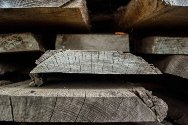 Bir yığın içinde yığılmış eski Kuru Kurulları