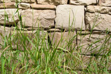 Eski taş duvar