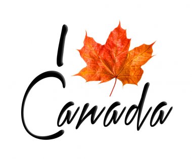 Kanada logo akçaağaç yaprağı aşk Kanada