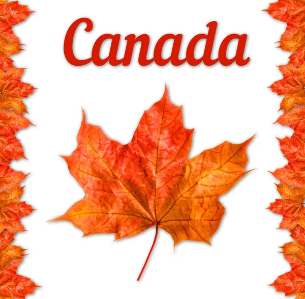 Kanada logó juharlevél kanadai szerelem — Stock Fotó