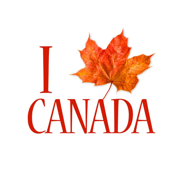 Canadá logo maple leaf Love Canada —  Fotos de Stock