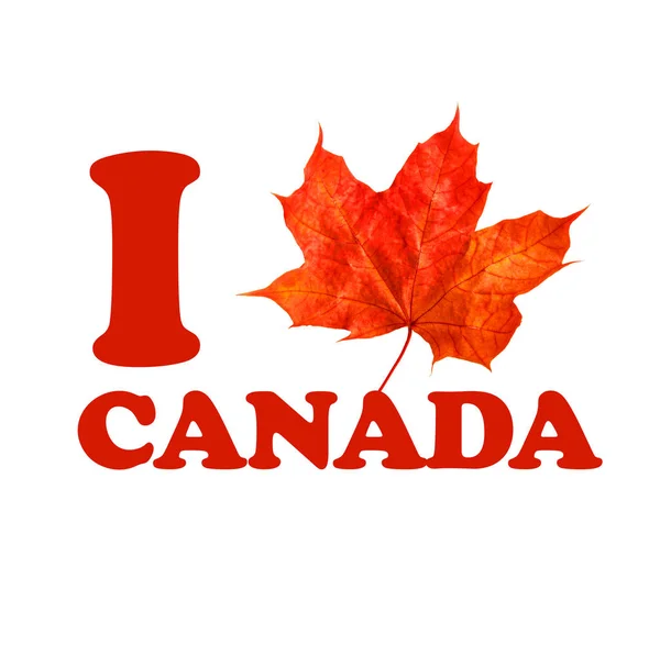 Canadá logo maple leaf Love Canada —  Fotos de Stock