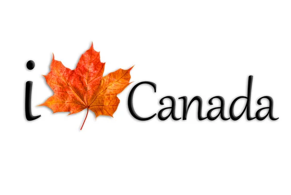 Canadá logo maple leaf Love Canada —  Fotos de Stock